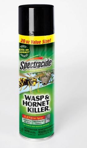 Photo 1 of 4---20oz Wasp & Hornet Killer Aerosol - Spectracide

