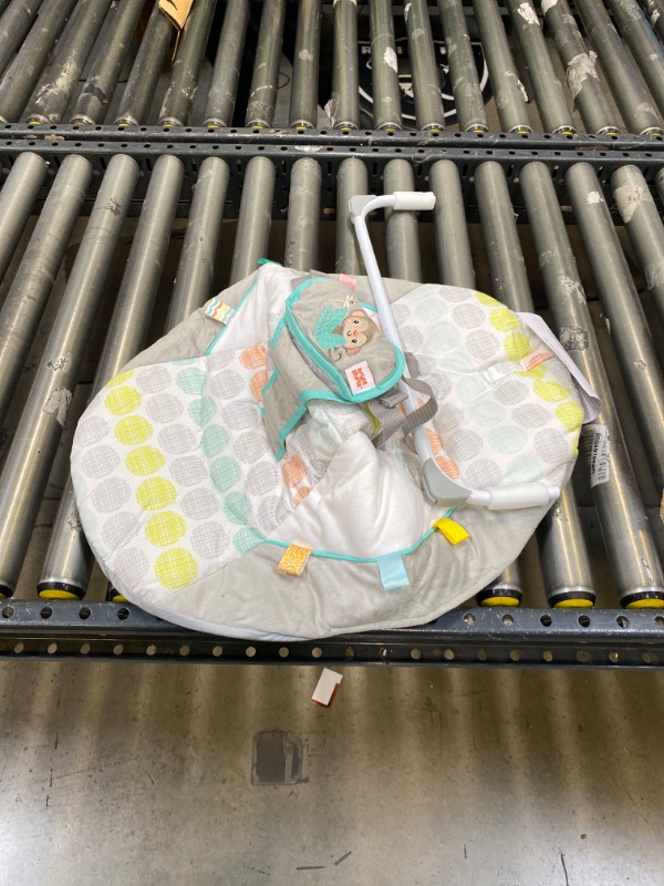 Photo 1 of Bright Starts Whimsical Wild Portable Swing