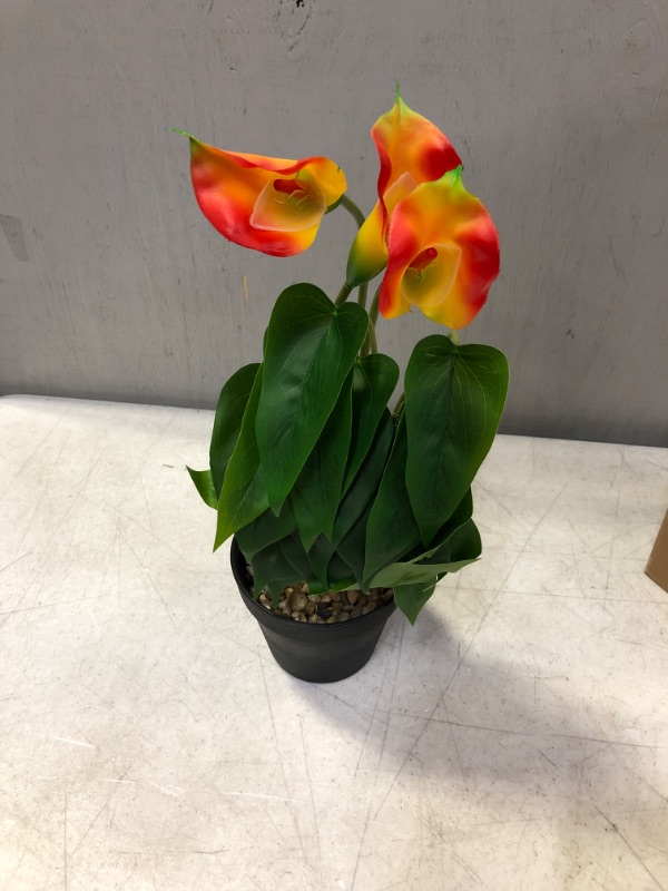 Photo 1 of ARTIFICIAL PLANT