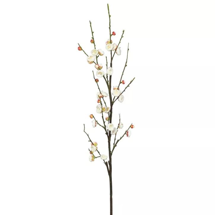 Photo 1 of 47" Artificial Plum Blossom Stem Cream - Vickerman

