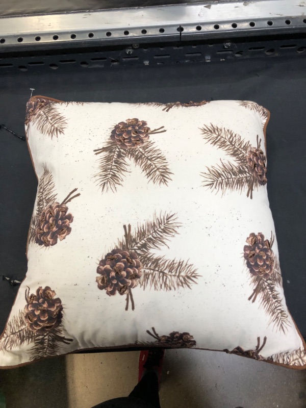 Photo 2 of 20"x20" Oversize Pinecones Polyester Filled Square Throw Pillow Ivory - Rizzy Home

