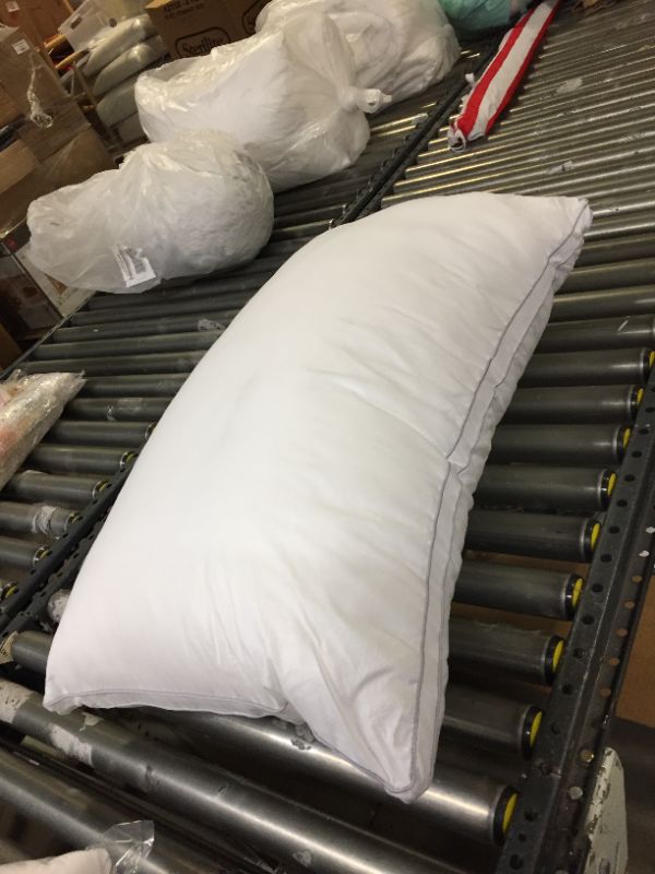 Photo 1 of 1 large bed pillows 