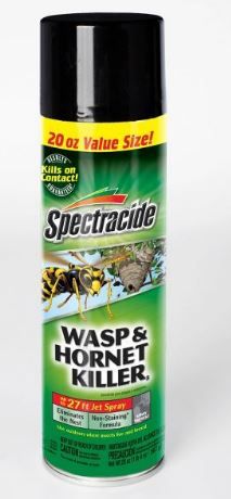 Photo 1 of 2---20oz Wasp & Hornet Killer Aerosol - Spectracide
