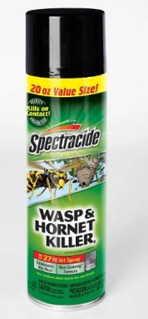 Photo 1 of 2---20oz Wasp & Hornet Killer Aerosol - Spectracide

