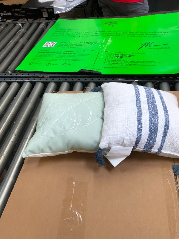Photo 1 of 4 throw pillows 