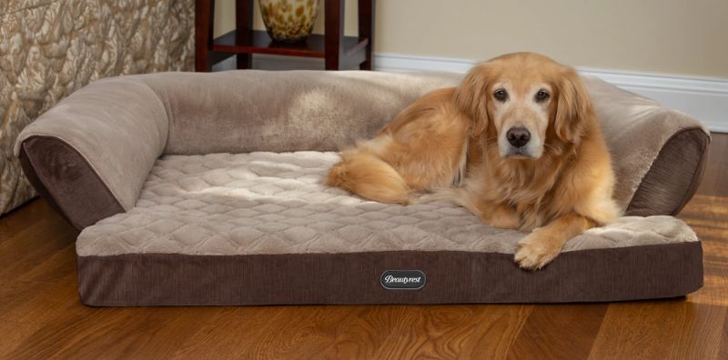 Photo 1 of large pet bed brown