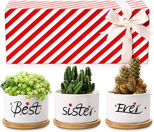 Photo 1 of Birthday Gifts for Sister, Best Sister Ever Ceramic Succulent Pots for Plants Indoor with Gift Box, Best Sister Birthday Gifts for Sisters Friends Female