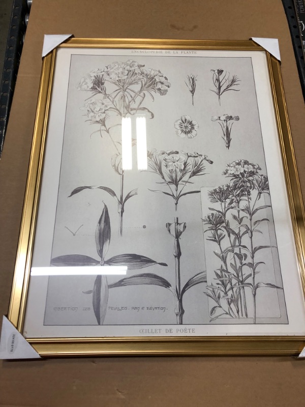 Photo 2 of 24" x 30" Botanical Sketch Framed Wall Art Style 2 - Hearth & Hand with Magnolia	