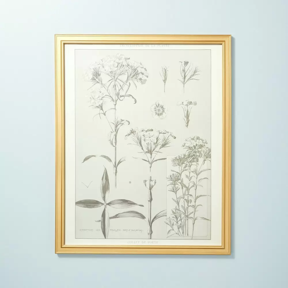 Photo 1 of 24" x 30" Botanical Sketch Framed Wall Art Style 2 - Hearth & Hand with Magnolia	