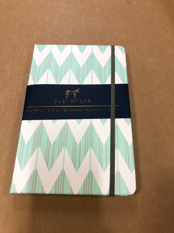 Photo 2 of ****2 PACK**** Dabney Lee Journal (240 pages, lined) - Mint / Chevron