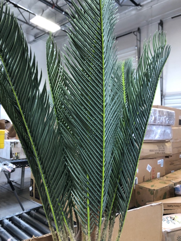 Photo 3 of AMERIQUE Gorgeous 3 Feet Cycas Revoluta Sago Palm Tree Artificial Plant with Nursery Pot
