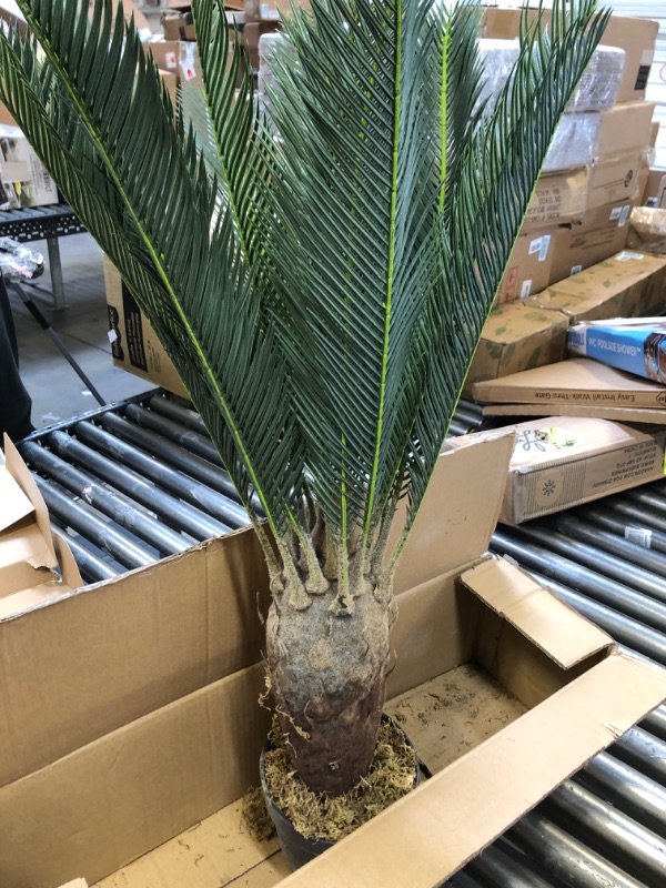 Photo 1 of AMERIQUE Gorgeous 3 Feet Cycas Revoluta Sago Palm Tree Artificial Plant with Nursery Pot