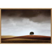 Photo 1 of 23" x 16" Distant Tree and Horizon by Alberto Merchan Framed Wall Canvas - Amanti Art

