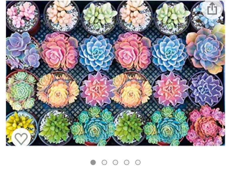 Photo 1 of 16X20 inches Colorful Painted Succulent 5D Diamond Painting kit,YIOITTIO Crystal Full Round Drill DIY Handmade Mosaic Diamonds Embroidery Cross Stitch Picture Home Decoration Artwork Christmas Gifts