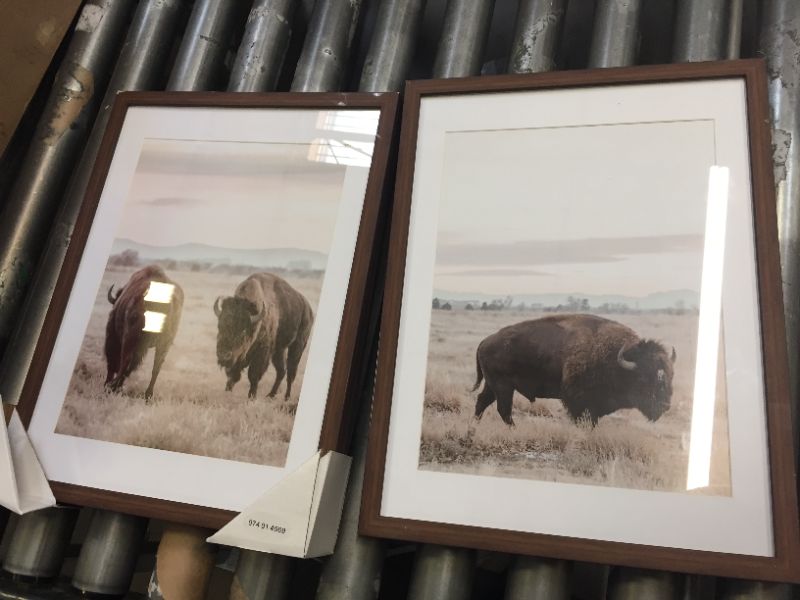Photo 1 of 16" X 12" 2PC DECORATIVE HOME BUFFALO PICTURES 