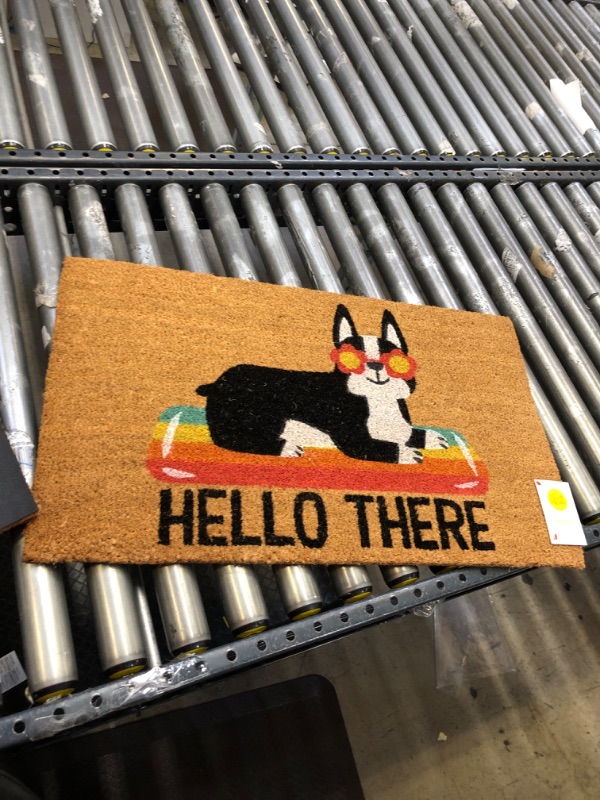Photo 2 of 1'6"x2'6" Hello Summer Dog Doormat Natural - Sun Squad™

