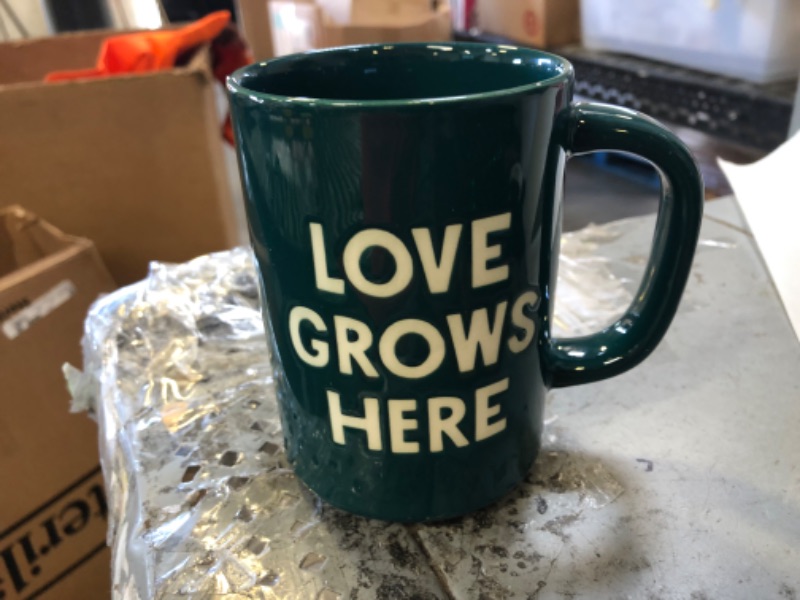 Photo 2 of 16oz Stoneware Love Grows Here Mug - Room Essentials --- Pack of 2