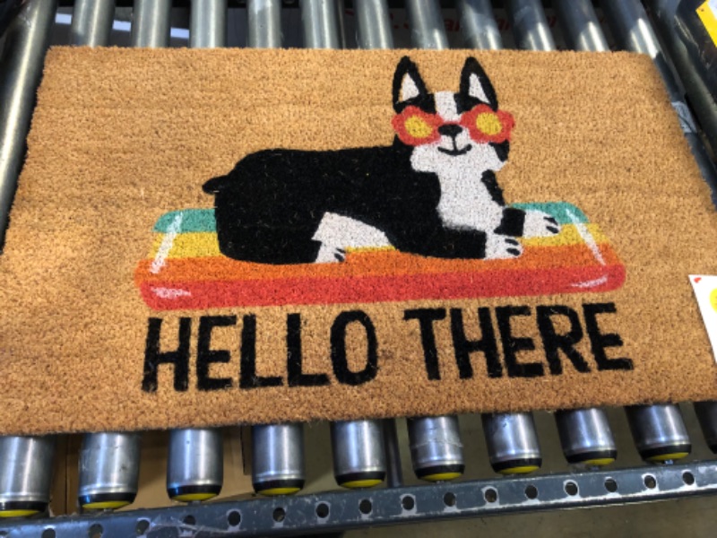 Photo 2 of 1'6"x2'6" Hello Summer Dog Doormat Natural - Sun Squad™

