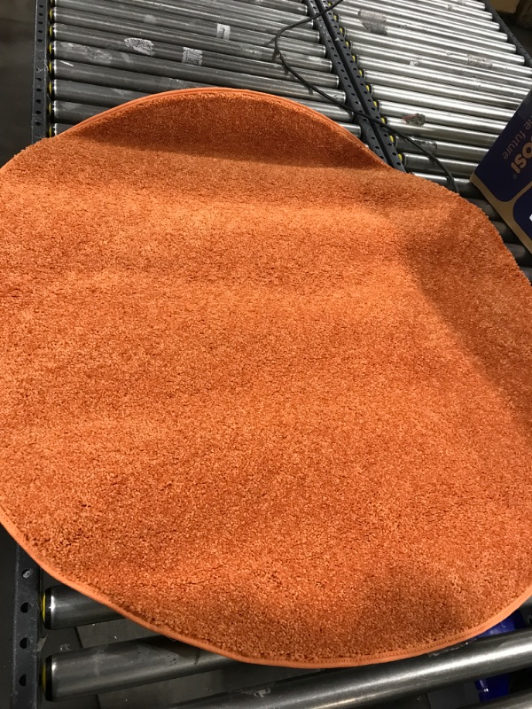 Photo 1 of 43" round orange rug