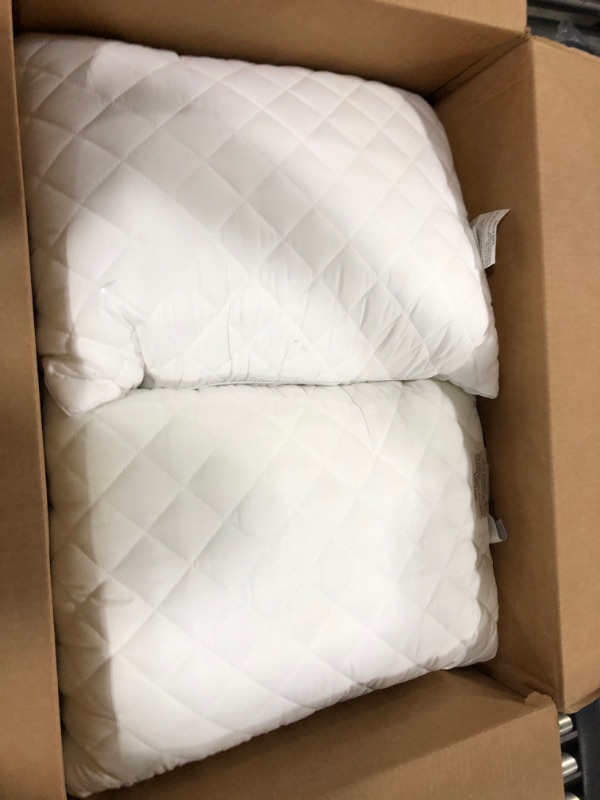 Photo 1 of 2pk standard pillows 