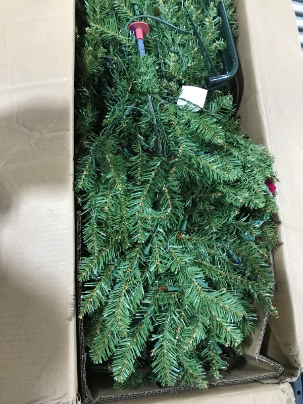 Photo 3 of .National Tree Company Pre-Lit Artificial Full Christmas Tree, Green, Dunhill Fir, Multicolor Lights, Includes Stand, 6.5 Feet
