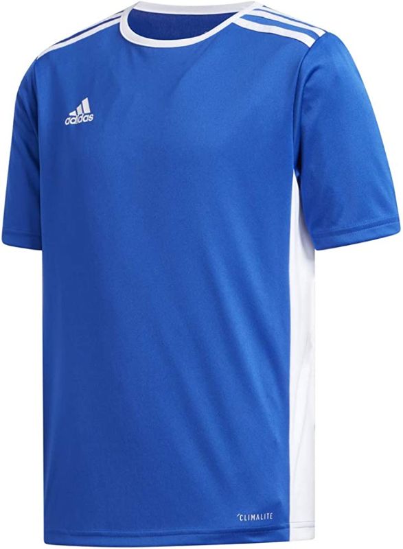 Photo 1 of adidas Boy's Entrada 18 Jersey
SIZE LARGE 