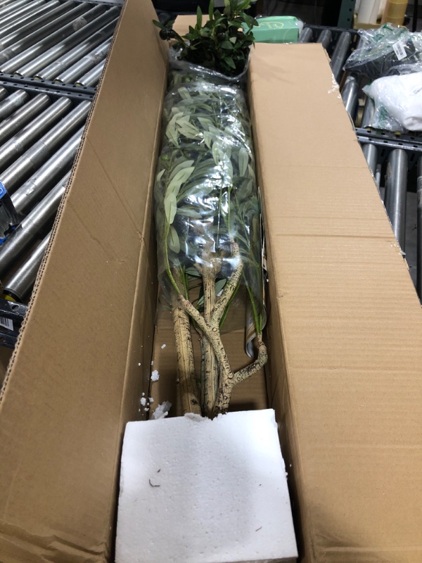 Photo 1 of Phimos Artificial Olive Tree Tall Fake Potted Olive Silk Tree with Planter Large Faux Olive Branches and Fruits Artificial Tree for Modern Home Office Living Room Floor Decor Indoor (6.23FT)