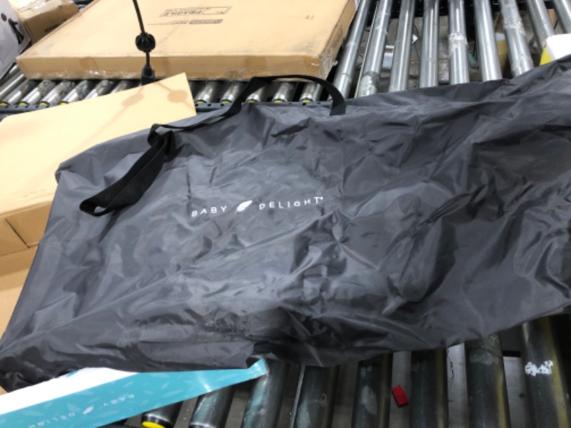 Photo 1 of Baby Delight Alpine Deluxe Portable Bouncer 