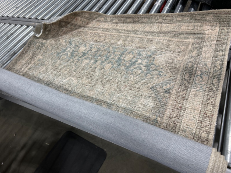 Photo 3 of Angela Rose x Loloi Aubrey Collection AUB-03 Jade / Natural, Traditional 3'-9" x 5'-6" Accent Rug Jade / Natural 3'-9" x 5'-6"