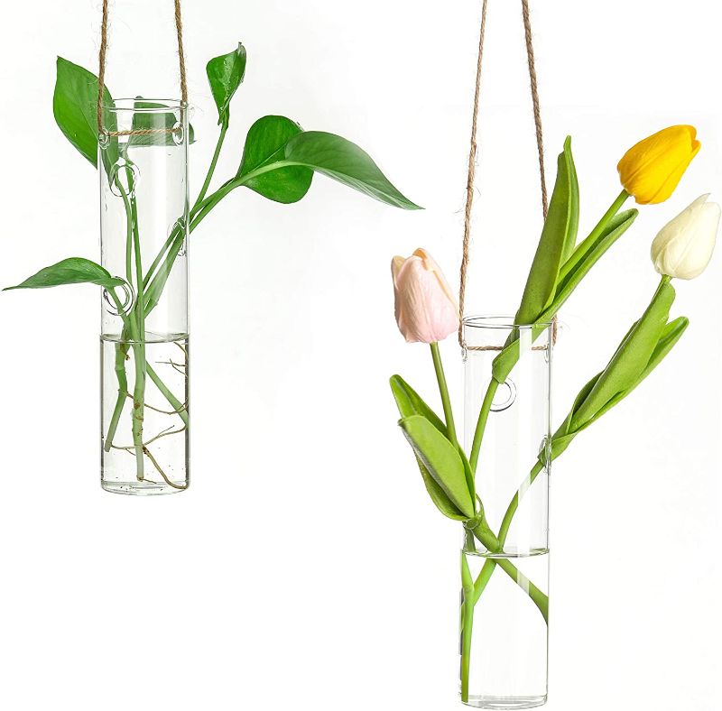 Photo 1 of Air Plant Terrariums - 2 Pack Cylinder Terrariums Glass Hanging Vase Terrarium for Hydroponic Plants,Flower,Indoor Outdoor Home Garden Decoration
