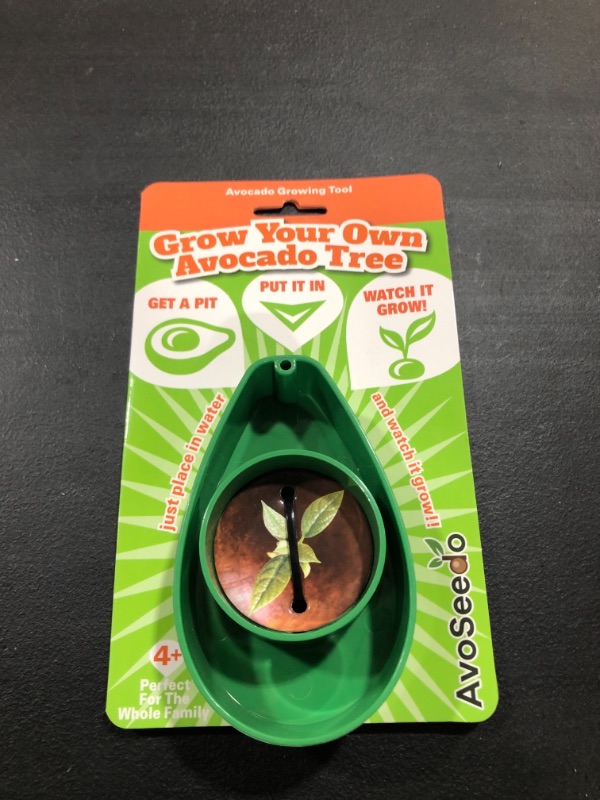 Photo 2 of AvoSeedo Avocado Tree Growing Kit, Green, Practical Gifts for Women, Mom, Sister & Best Friend, Plant Indoors with Novelty Pit Grower Boat & Kitchen Garden Seed Starter
