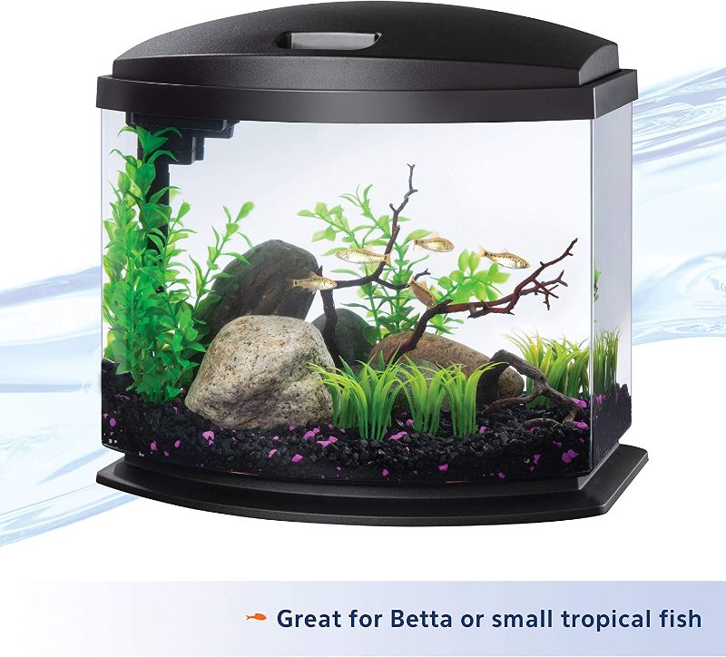 Photo 1 of Aqueon LED MiniBow Small Aquarium Fish Tank Kit with SmartClean Technology, Black, 5 Gallon
