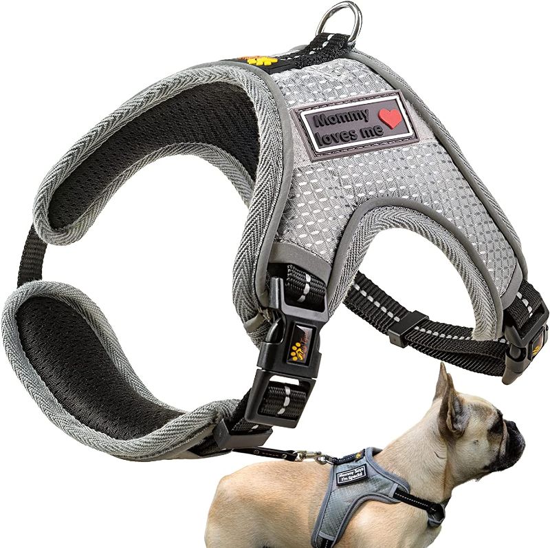 Photo 1 of ADITYNA No Pull Dog Harnesses for Small Dogs - No Escape Dog Harness - Reflective and Soft Padded Harness - Easy Adjustable for Everyday Use
