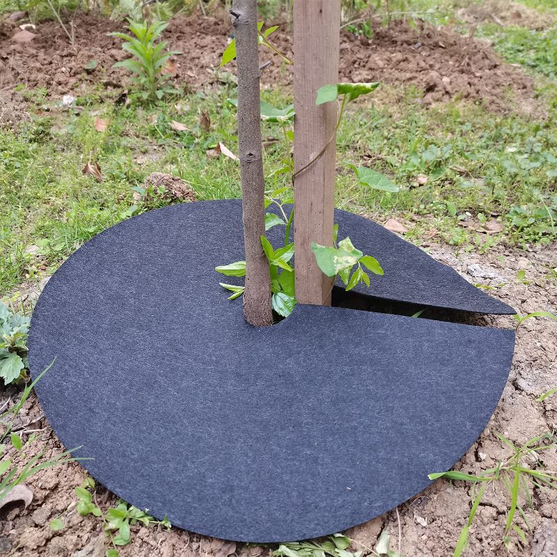 Photo 1 of 8 Pcs Tree Protection Weed Mat,Non-Woven Tree Mulch Ring,Woven Degradable Landscape Weed Control Fabric with 15pcs U-Shaped Ground Nails for Weed Control Root Protection (12.6",16.6")
