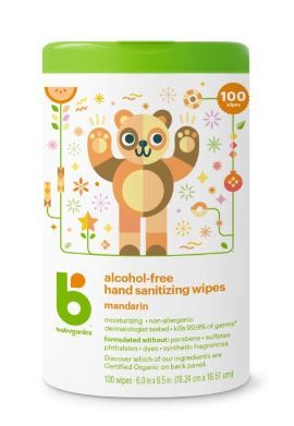 Photo 1 of Babyganics Alcohol-Free Hand Sanitizer Wipes, Mandarin, 100 ct
