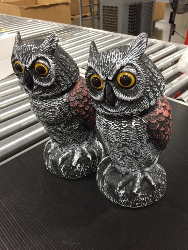 Photo 1 of 2 FAKE OWLS 10 INCHES TALL