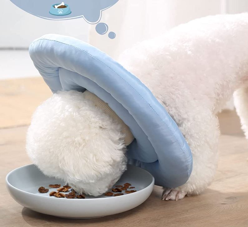 Photo 1 of ANWA Soft Dog Cone for Small Dogs, Adjustable Dog Cone Alternative After Surgery, Waterproof Dog Recovery Collar for Small and Medium Dogs
