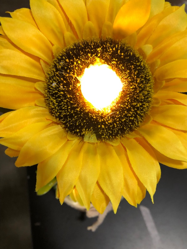 Photo 1 of Artificial Realistic Sunflower 3 LEDS spotlighted Flowers with 2 mini lighted mushrooms. 