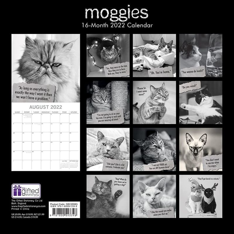 Photo 3 of 2022 Square Wall Calendar - Moggies, 12 x 12 Inch Monthly View, 16-Month, Animals - Humour Theme, Includes 180 Reminder Stickers