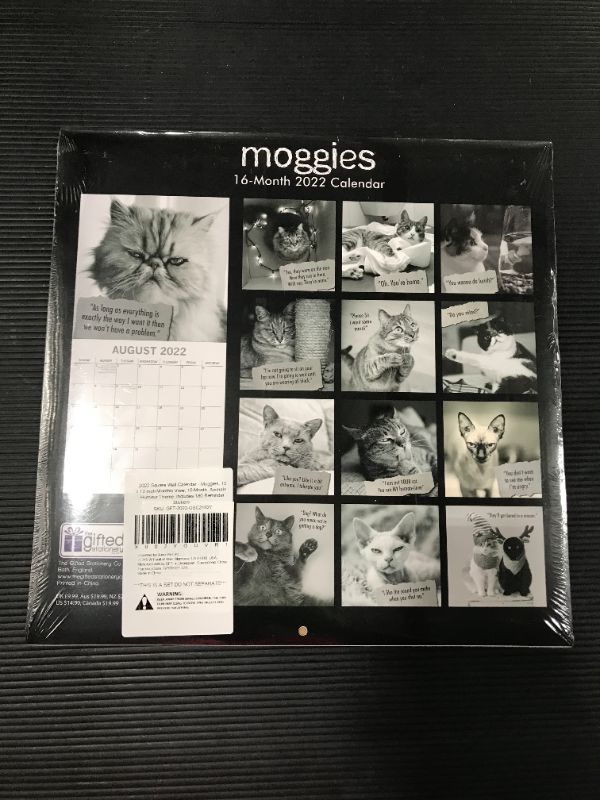 Photo 4 of 2022 Square Wall Calendar - Moggies, 12 x 12 Inch Monthly View, 16-Month, Animals - Humour Theme, Includes 180 Reminder Stickers