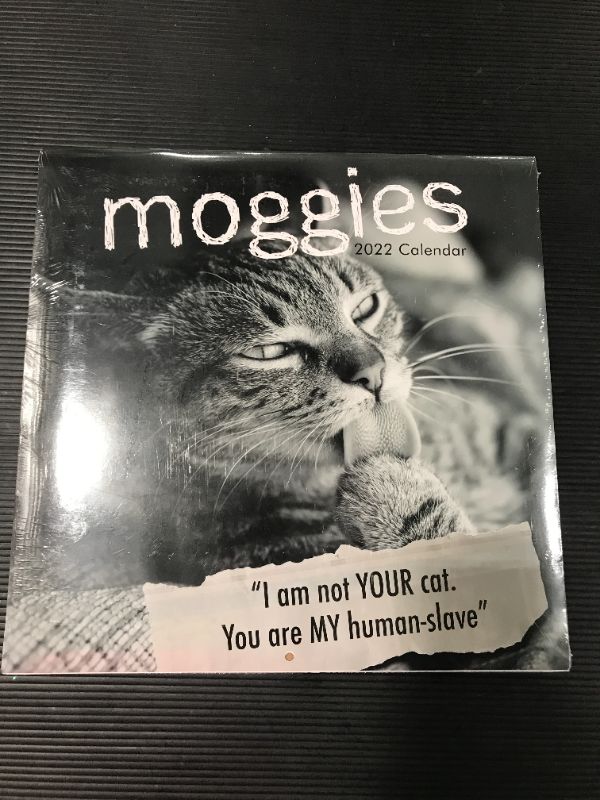 Photo 2 of 2022 Square Wall Calendar - Moggies, 12 x 12 Inch Monthly View, 16-Month, Animals - Humour Theme, Includes 180 Reminder Stickers