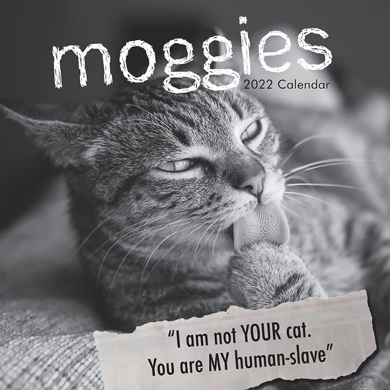 Photo 1 of 2022 Square Wall Calendar - Moggies, 12 x 12 Inch Monthly View, 16-Month, Animals - Humour Theme, Includes 180 Reminder Stickers