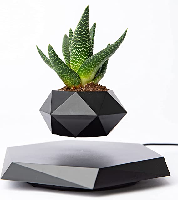 Photo 1 of BandD Floating Plant Pot - Levitating Plant Pot for Succulents, air Bonsai & air Plants. Floating Planter for Home, Office & Desk Levitating Decor. Magnetic Floating Levitating Display. (Black)