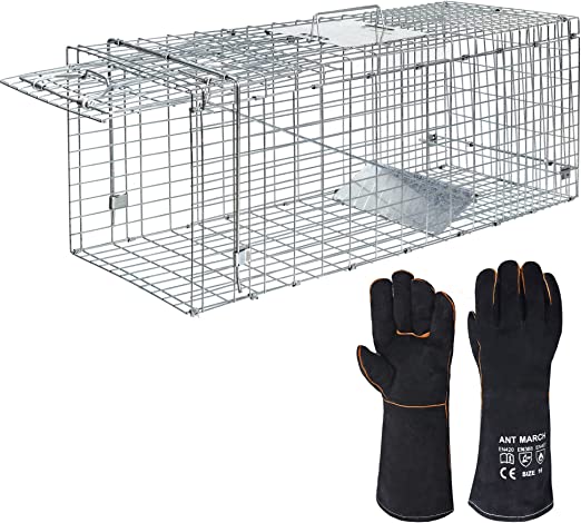 Photo 1 of ANT MARCH Live Animal Cage Trap 32''x11.5"x13" Steel Humane Release Rodent Cage with Gloves for Rabbits, Stray Cat, Squirrel, Raccoon, Mole, Gopher, Chicken, Opossum, Skunk, Chipmunks, Groundhog
