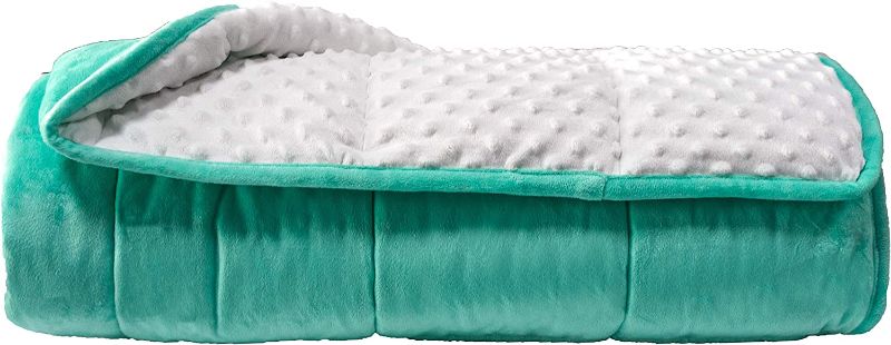 Photo 1 of ALANSMA Reversible Weighted Blanket for All Season, Luxury Velvet, Warm and Cool, Adult Kids 15Lb Weighted Blanket, Enjoy Sleeping Anywhere(TEAL, 60''x80''15lbs)
