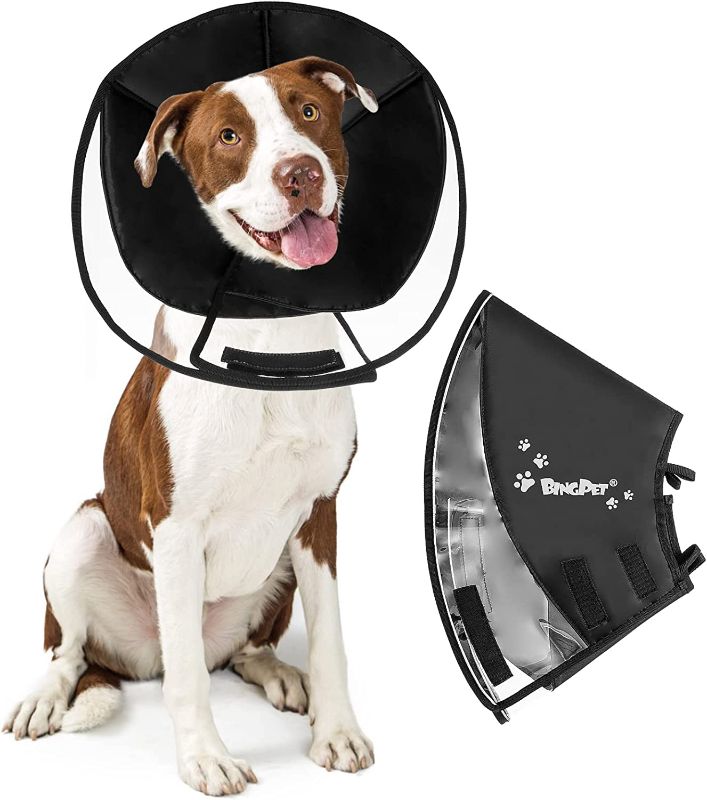 Photo 1 of BINGPET Dog Recovery Cone Collar for Surgery, Adjustable Soft Dog Protective E-Collar with Reflective Pattern and Edge, Perfect for Wound Healing, Licking, Biting MEDIUM
