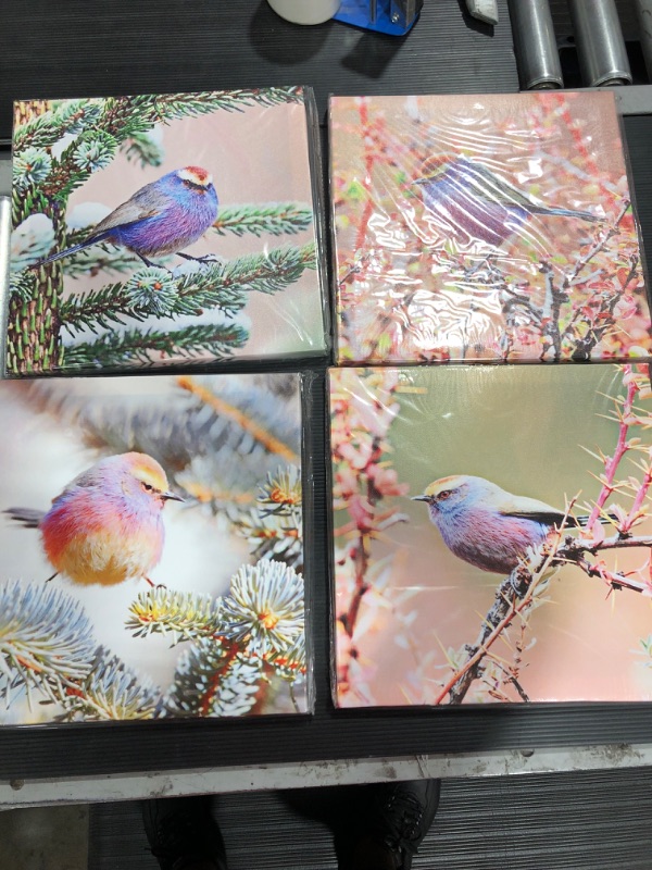 Photo 1 of 11 x 11inch Bird Canvas ( 4 pc)