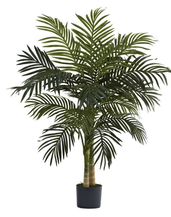 Photo 1 of 48" Artificial Cane Palm Tree in Pot Black Gold - Nearly Natural

