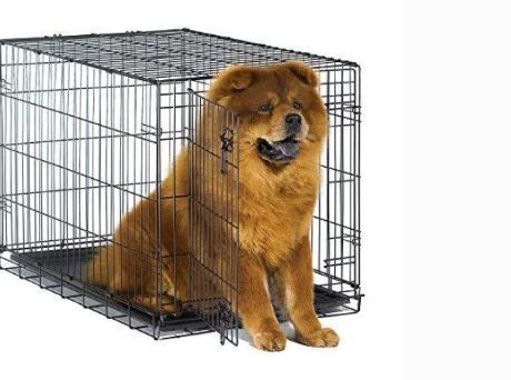 Photo 1 of  Single & Double Door New World Dog Crate, Includes Leak-Proof Pan