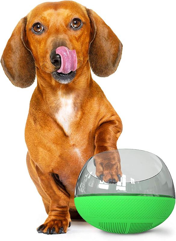 Photo 1 of ANYPET Slow Feeder Bowl for Small Medium Dogs Cats, No-Spill Large Capacity Interactive Feeder, Green 
